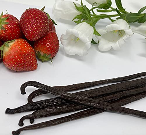 10 Extract Grade A Mexican Planifolia Vanilla Beans 10 Extract Grade A Mexican Planifolia Vanilla Beans