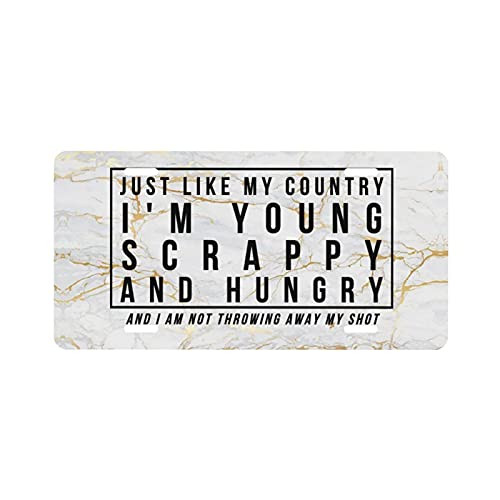 Ysuouht Hamilton License Plate Frame Car Plate Bracket Holders, Rust-Proof, Rattle-Proof, Weather-Proof, for Auto Accessories Decoration 12" X 6"