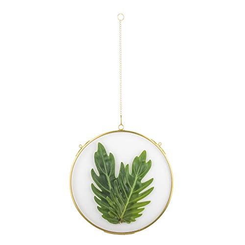 NCYP 8" Hanging Herbarium Frame Gold, Brass Round Glass Frame for Pressed Dried Flowers, Double Glass Floating Frame Display Plants Specimen, Glass Frame Only