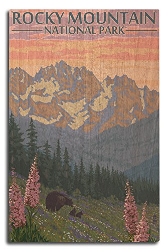 Lantern Press Rocky Mountain National Park, Colorado, Bear and Cubs with Flowers 31198 -10x15 Wood Wall Sign, Wall Decor Ready to Hang-
