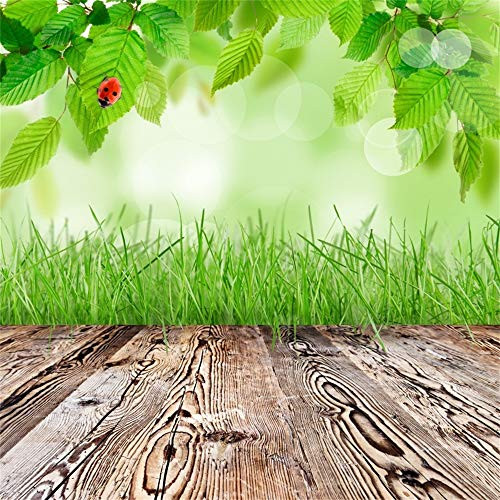 Laeacco 5x5ft Spring Greenery Leaves Ladybird Grassland Grunge Wood Texture Floor Vinyl Photography Background Spring Scenic Backdrop Child Adult Artistic Portrait Shoot Studio Props