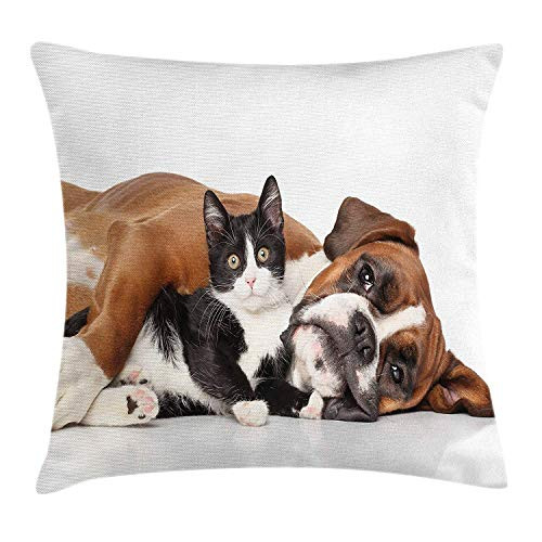 Funny Throw Pillow Cushion Cover, Cat and Dog Cuddling Lying on Floor Friendship Theme Cute Animals Togetherness, Decorative Square Accent Pillow Case, 18 X 18 Inches, Brown Black White