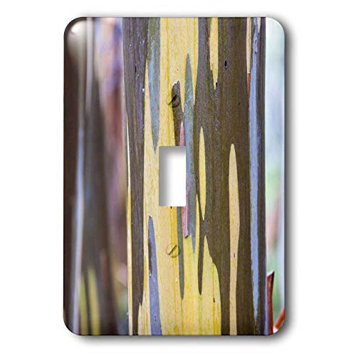 3dRose Australia, Tasmania Cradle Mountain-Lake St Clair NP. - Light Switch Covers -lsp-329608-1- 3dRose Australia, Tasmania Cradle Mountain-Lake St Clair NP. - Light Switch Covers -lsp-329608-1-