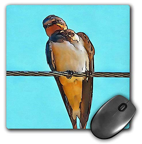 3dRose Taiche - Acrylic Painting - Swallow - Swallow On A Wire - Mouse Pads -mp-330801-1-