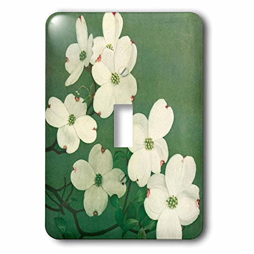 3dRose lsp_178882_1"Vintage Dogwood Flowers" Single Toggle Switch