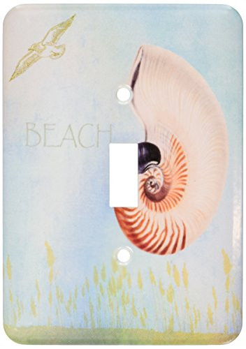 3dRose lsp_79345_1 Beautiful Shell Aqua Beach Theme Art Single Toggle Switch