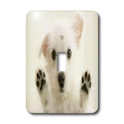 3dRose lsp_101697_1 Adorable Westie Puppy with Paws Up On Glass Single Toggle Switch