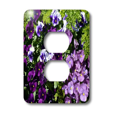 3dRose LLC lsp_22533_6 Purple Pansies Spread of Purple Flowers, 2 Plug Outlet Cover