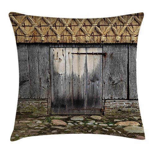Ambesonne Rustic Throw Pillow Cushion Cover, Old Wood Barn Door with Nature Items on Roof Village Town Rural Life Theme Artwork Print, Decorative Square Accent Pillow Case, 20" X 20", Brown