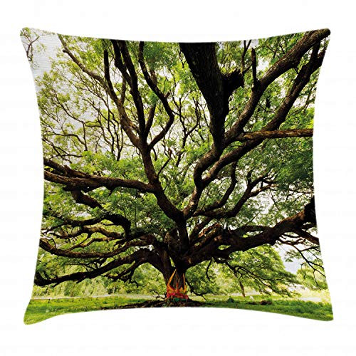 Ambesonne Nature Throw Pillow Cushion Cover, Largest Monkey Pod Tree in Thailand Eastern Green Big Branches Growth Eco Photo, Decorative Square Accent Pillow Case, 20" X 20", Green Brown