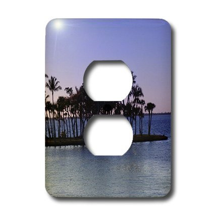 3dRose lsp_7788_6 Palm Island 2 Plug Outlet Cover Multicolor