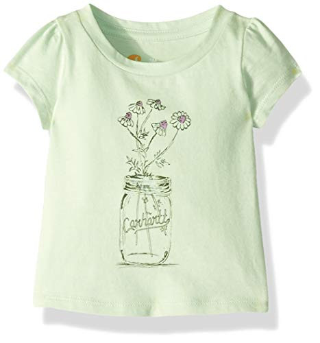 Carhartt Baby Girls Short Sleeve Cotton Graphic Tee T-Shirt, Wild Flower -Pastel Green-, 9 Months