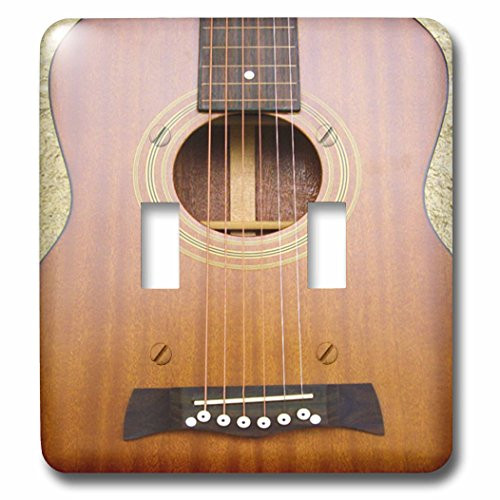 3dRose LLC lsp_50894_2 Guitar Macro, Double Toggle Switch