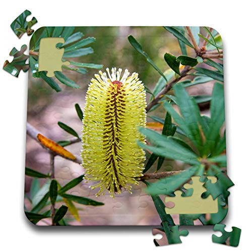 3dRose Australia, Tasmania, Cradle Mountain-Lake St Clair NP. - Puzzles -pzl-329609-2-