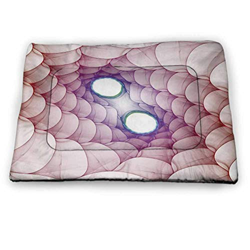 DayDayFun Spires Printed Pet Cushion Fragmented Spirals in Enigmatic Psychedelic Style Environment Hyperbolic Mystical Design Pet Mats for Food and Water for Wood Floors Cream Size 21"x14"