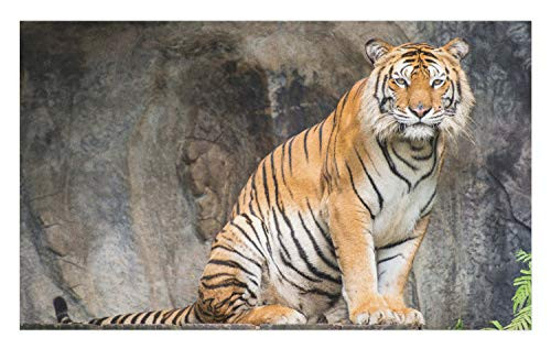 Ambesonne Zoo Doormat, Bengal Tiger Feline Predator Aggressive Hunter Carnivore Africa Safari, Decorative Polyester Floor Mat with Non-Skid Backing, 30" X 18", Pale Brown Black White