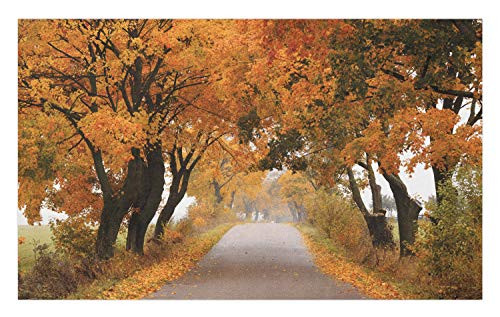 Ambesonne Fall Doormat, Fall Season in Poland Road with Colorful Vibrant Maple Trees Serenity Theme, Decorative Polyester Floor Mat with Non-Skid Backing, 30" X 18", Orange Brown Green