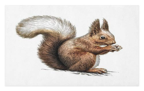 Ambesonne Squirrel Doormat, Engraved Style Squirrel Illustration Sketch Artwork Wildlife, Decorative Polyester Floor Mat with Non-Skid Backing, 30" X 18", Dark Brown Pale Brown and White