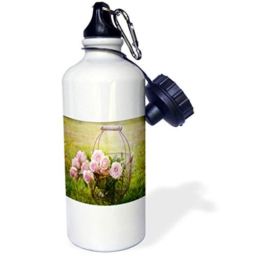 3dRose Lens Art by Florene - Flower Standouts - Image of Closeup Rustic Wire Basket Holds Pink Roses On Grass - 21 oz Sports Water Bottle -wb-302812-1-