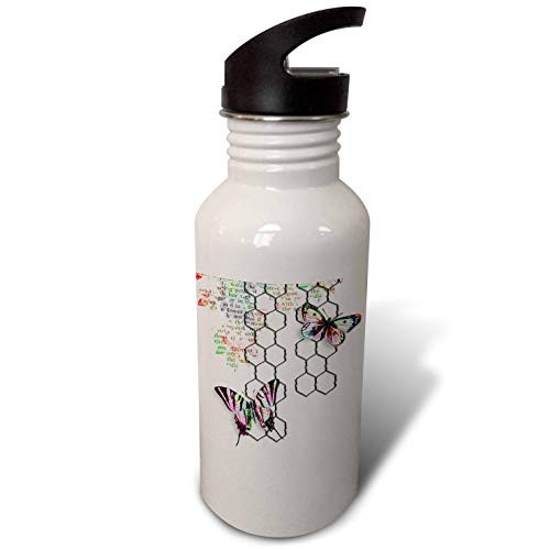3dRose Cute Image of Wire, Text Print, and Butterflies Collage - Water Bottles -wb-328667-1-