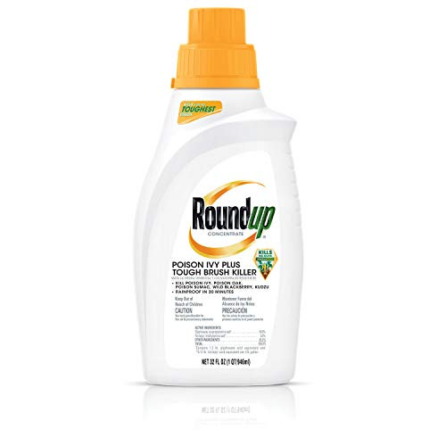 Roundup Concentrate Poison Ivy Plus Tough Brush Killer, 32 oz. Roundup Concentrate Poison Ivy Plus Tough Brush Killer, 32 oz.