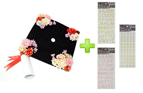 Handmade Graduation Cap Topper Gift for Her Graduation Gift Graduation Cap Decorations, Nevertheless She Persisted (Blank-Black)