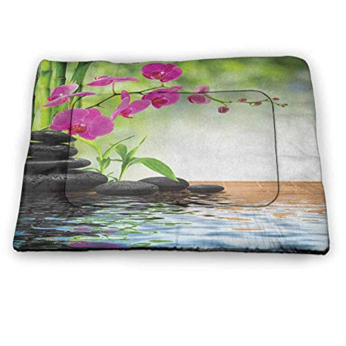 DayDayFun Spa Pet Mat for Kennel Composition Bamboo Tree Floor Mat Orchid Stones Wellness Greenery pet Bed for Crate Fuchsia Charcoal Grey Lime Green 23"x15.5" DayDayFun Spa Pet Mat for Kennel Composition Bamboo Tree Floor Mat Orchid Stones Wellness Greenery pet Bed for Crate Fuchsia Charcoal Grey Lime Green 23"x15.5"
