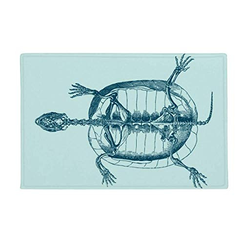 DIYthinker Skeleton Sketch Tortoise Animal Ground Mat Non Slip Floor Bathroom Door Rug Carpet