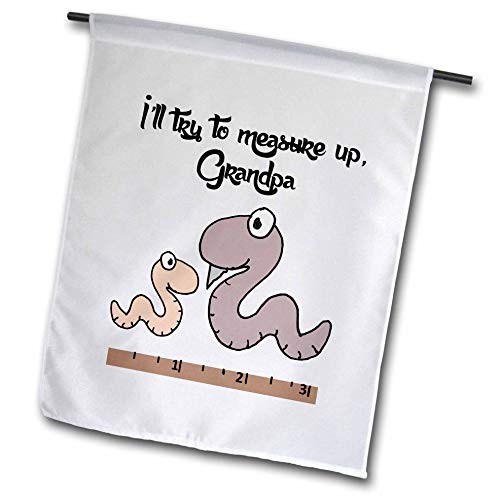 3dRose Funny Cute Inchworm and Grandpa Ill Try to Measure Up Pun - Flags -fl-326025-2-