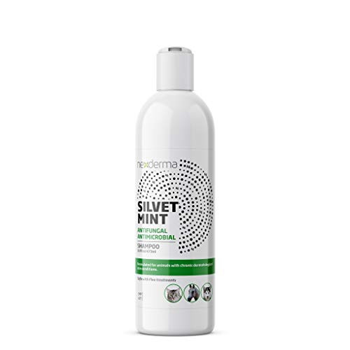 NEXDERMA Silvet Mint Pet Shampoo for Dogs, Cats and Horses Natural Tearless Dog Shampoo with Oatmeal and Vitamin E | Gentle  and  Safe for Pet | pH Balanced and Moisturizes Dry Skin and Fur - 16 Ounce