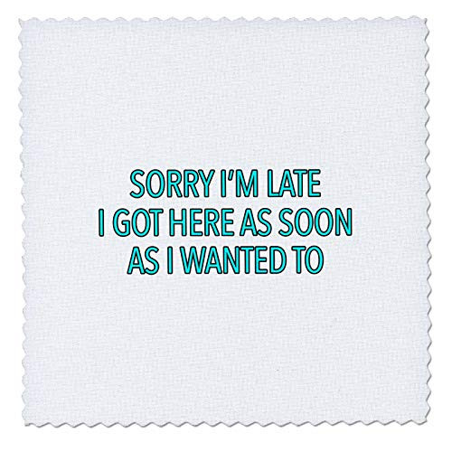 3dRose EvaDane - Funny Sayings - Sorry Im Late I Got Here As Soon As I Wanted To Aqua - 20x20 inch quilt square -qs-320995-8- 3dRose EvaDane - Funny Sayings - Sorry Im Late I Got Here As Soon As I Wanted To Aqua - 20x20 inch quilt square -qs-320995-8-