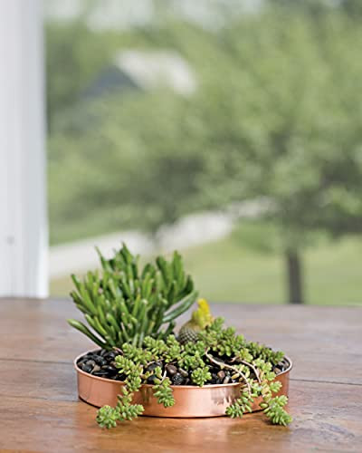 Gardener's Supply Company Small Round Copper Plant Tray, 10