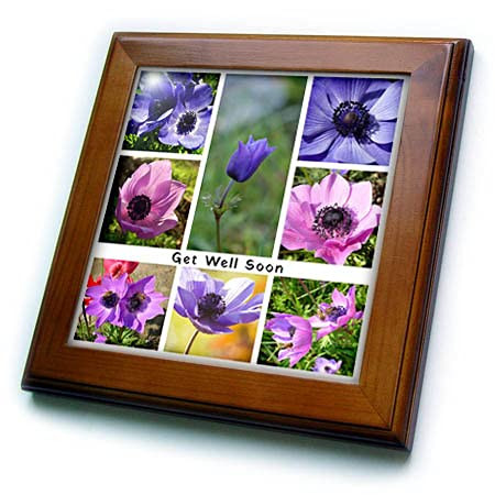 3dRose Get Well Soon Anemone Photograph Collage - Framed Tiles -ft-347458-1-