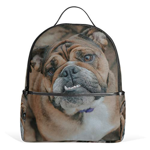 ANINILY Backpack For Girls, Brown Dog Sitting On The Floor Backpack College Bags Women Shoulder Bag Daypack Bookbags Travel Bag