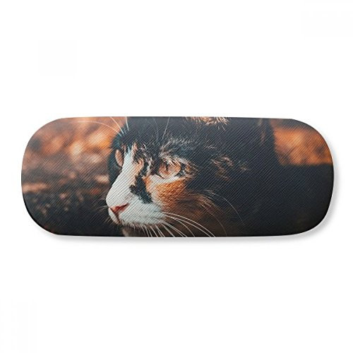 Brown Cat Stare Profile Animal Vintage Glasses Case Eyeglasses Clam Shell Holder Storage Box
