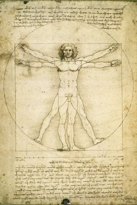 Posterjacks UK Anatomy of Man Leonardo Da Vinci Art Paper Poster Measures 36 x 24 inches -91.5 x 61cm- Posterjacks UK Anatomy of Man Leonardo Da Vinci Art Paper Poster Measures 36 x 24 inches -91.5 x 61cm-