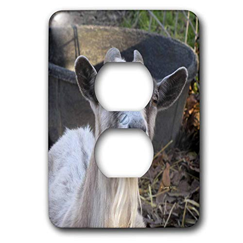 3dRose LLC lsp-21058-6 Grey And White Goat 2 Plug Outlet Cover