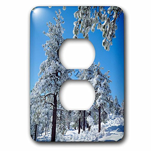 3dRose lsp-205736-6"USA, California, San Diego Winter trees in the Laguna Mountains 2 Plug Outlet Cover 3dRose lsp-205736-6"USA, California, San Diego Winter trees in the Laguna Mountains 2 Plug Outlet Cover