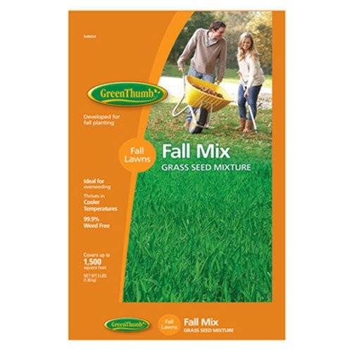 Barenbrug 548654 GT 3 lb. Fall Grass Seed