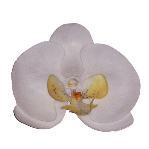 Phalaenopsis Orchid Artificial Flower Hair Clip/Pin Brooch, White Phalaenopsis Orchid Artificial Flower Hair Clip/Pin Brooch, White