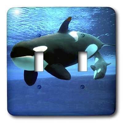 3dRose lsp_5728_2"Killer Whales" Double Toggle Switch
