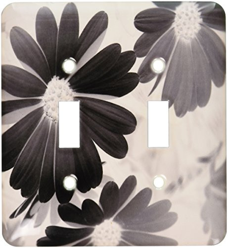 3dRose LLC lsp_20683_2 Black Daisies Double Toggle Switch