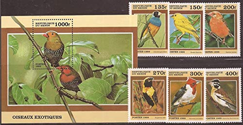 WD01/02/21-Benin - 1999 Birds - 6 Stamp Set  plus Souvenir Sheet Scott - Scott 1120-6