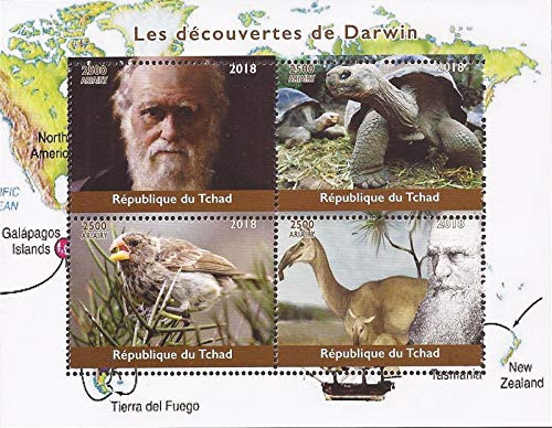 Chad - 2018 Discoveries of Darwin - 4 Stamp Sheet - 3B-595
