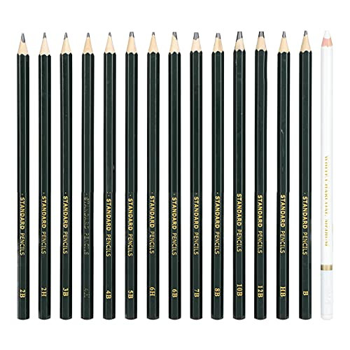 15Pcs Sketch Pencils Set, Graphite and Charcoal Pencils Drawing Sketch Pencils Set for Art Supplies, Drawing Sketching Set