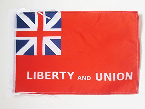 AZ FLAG Taunton Liberty and Union Flag 18'' x 12'' Cords - Liberty and Union Small Flags 30 x 45cm - Banner 18x12 in