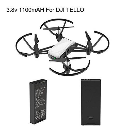 Rucan For DJI Tello Quadcopter Drone Intelligent Flight Battery 1100 mAh 3.8V (1PC) Rucan For DJI Tello Quadcopter Drone Intelligent Flight Battery 1100 mAh 3.8V (1PC)