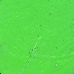 Ruby Red Paint Face Paint, 75ML - Pastel Green