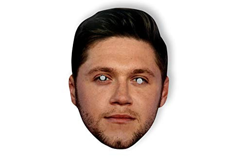 Niall Horan One Direction Musician Celebrity Fancy Dress Face Mask