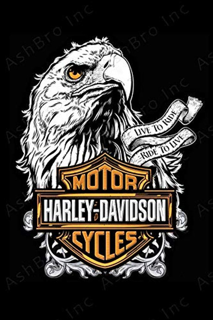 AshBro Born to Live White Eagle Harley Davidson Garage Decor Vintage Tin Sign Retro Garage Poster Bar Wall Sign Antique Metal Vintage Pub Sign Pin Up Garage Sign Garage Decor Metal Signs for Men 12x8